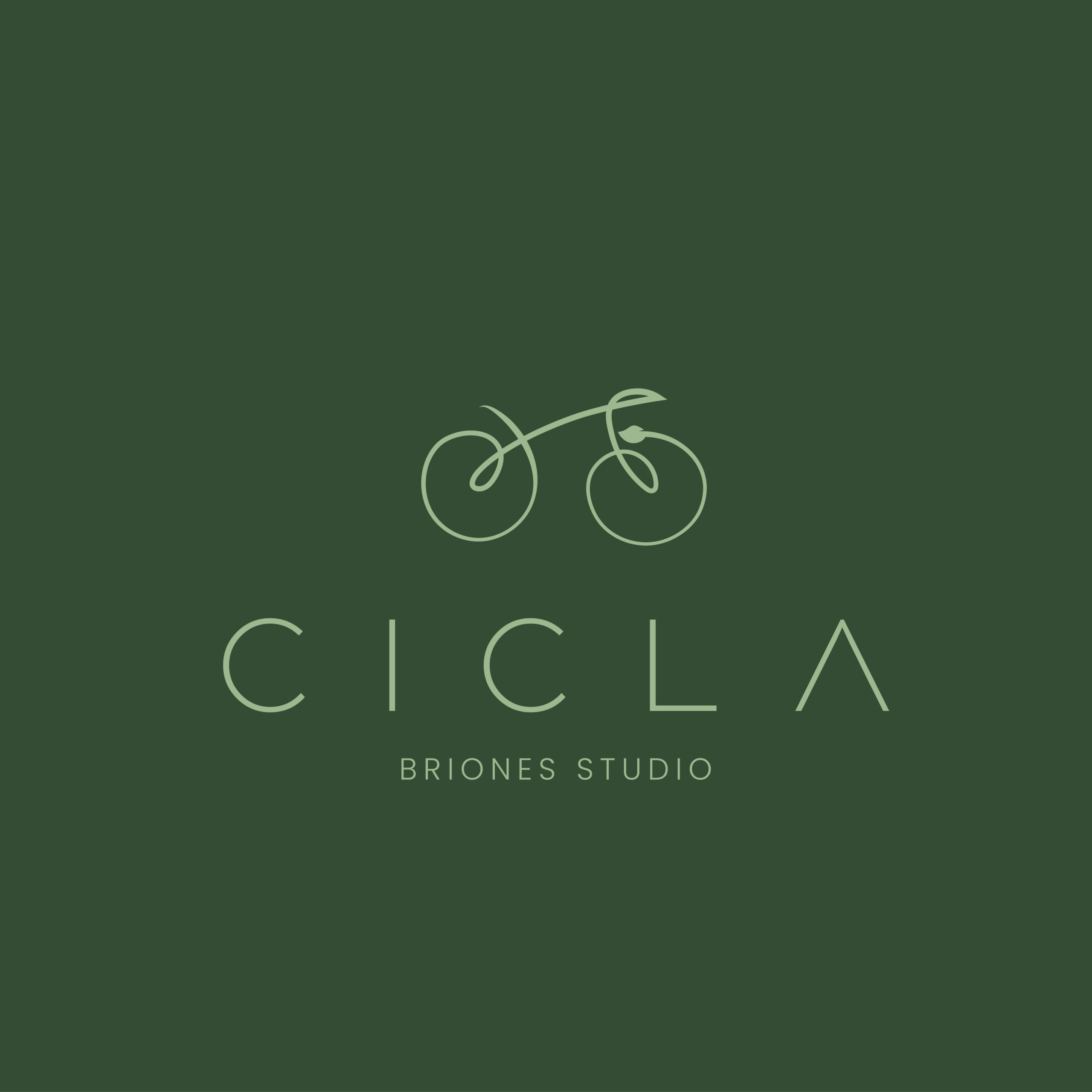 Cicla Briones Studio